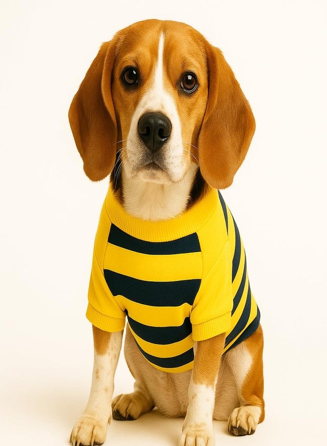 Zigly Lifestyle Bumble Stripe Dog Sweatshirt | Soft Cotton Pullover for Dogs | Warm, Lightweight, Easy-Wear Pet Clothing for Small to Large Breeds Size Small - Image 1